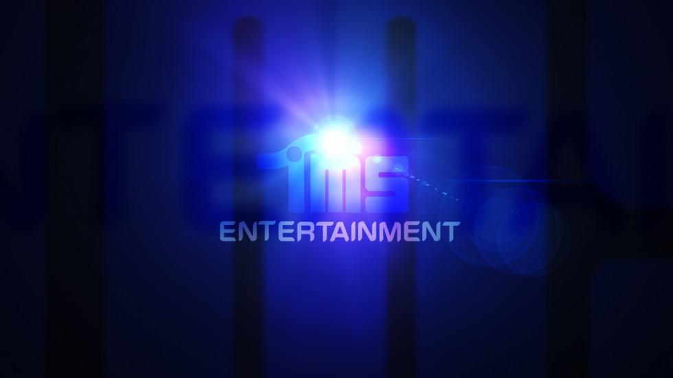 TMS ENTERTAINMENT “Motion Logo”