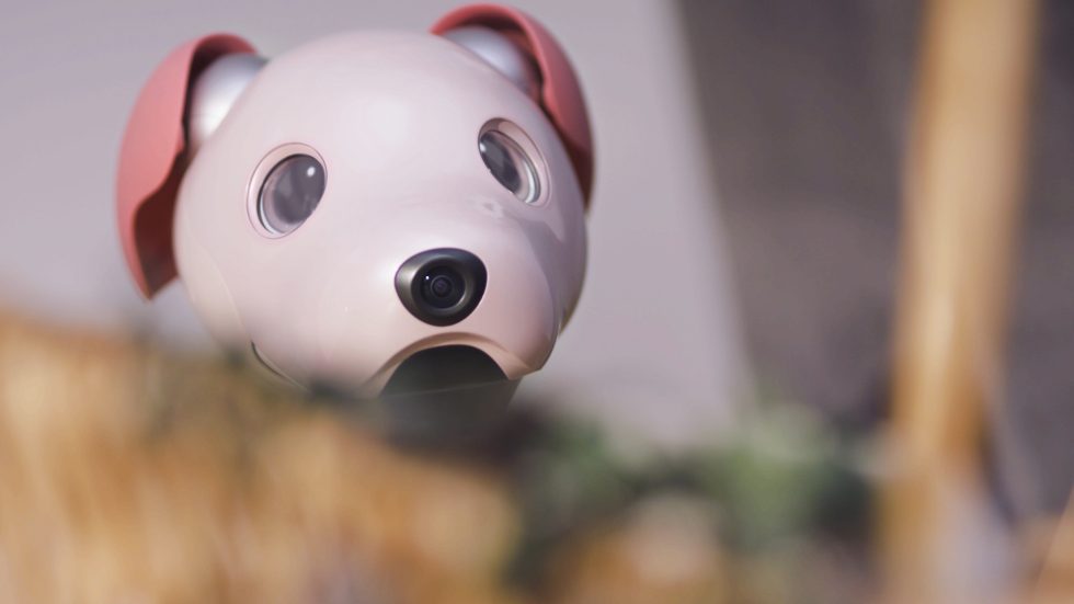 ココロがとろける甘い色。aibo いちごミルク エディション誕生