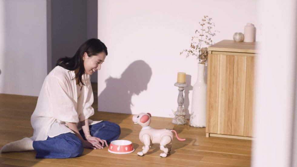 ココロがとろける甘い色。aibo いちごミルク エディション誕生