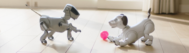 aibo 25th